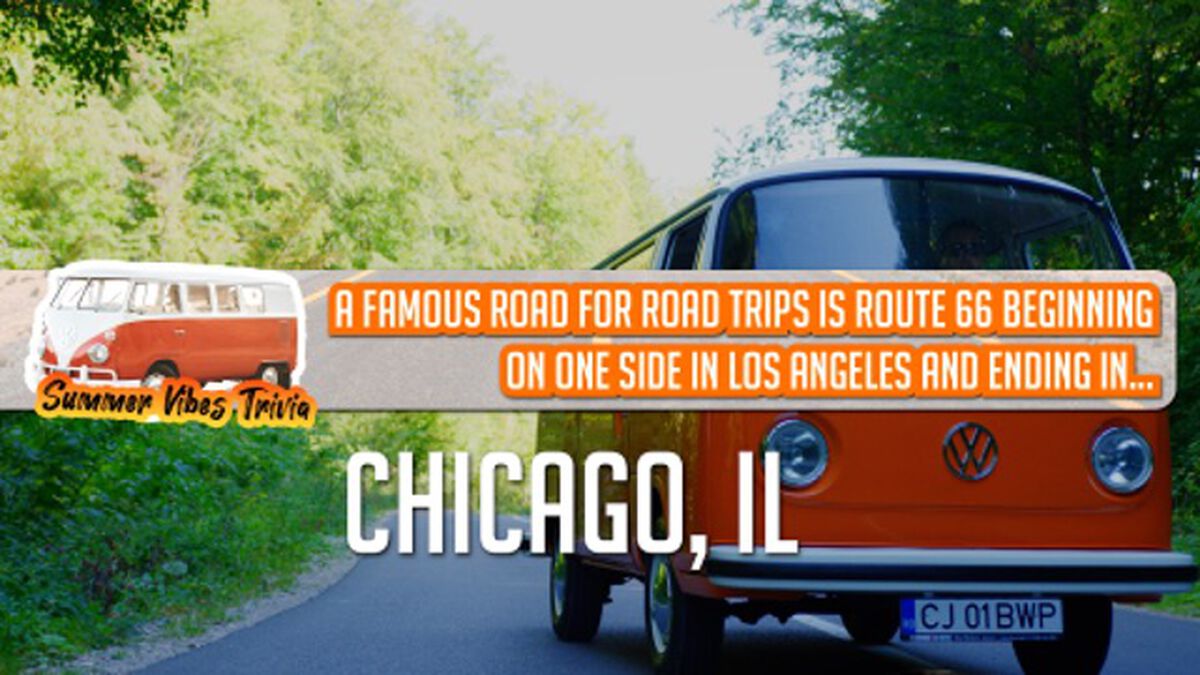Summer Vibes Trivia - Road Trip Edition image number null